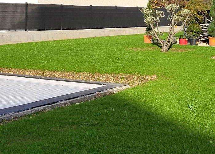 Rénovation d'une pelouse aux abords d'une piscine